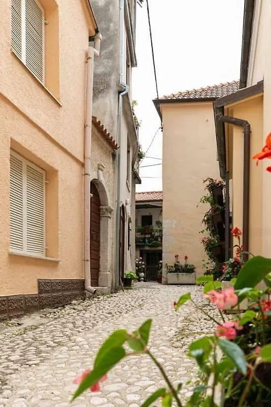 Old Beauty Apartment Novi Vinodolski